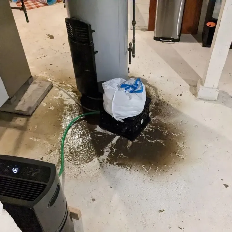 Sewage Backup Cleanup Service in Kirtland, NM